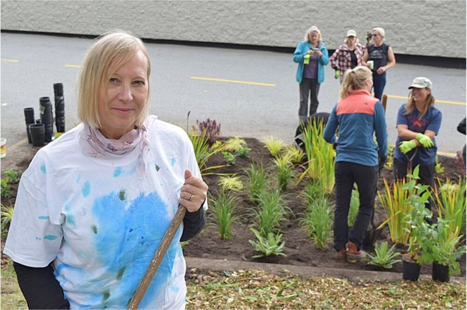 Rain garden