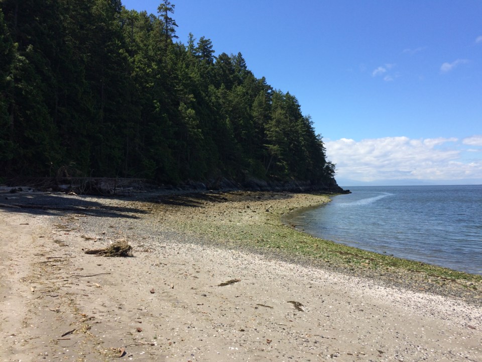 Sandy Beach 1