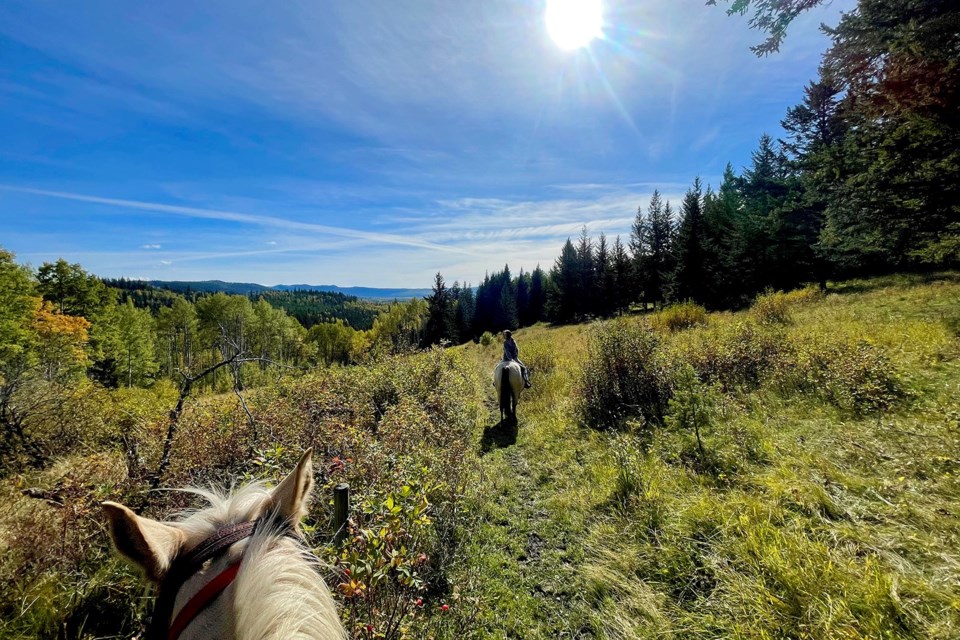 Autumn horseback riding in British Columbia’s high Cariboo country. | Laura Marie Neubert