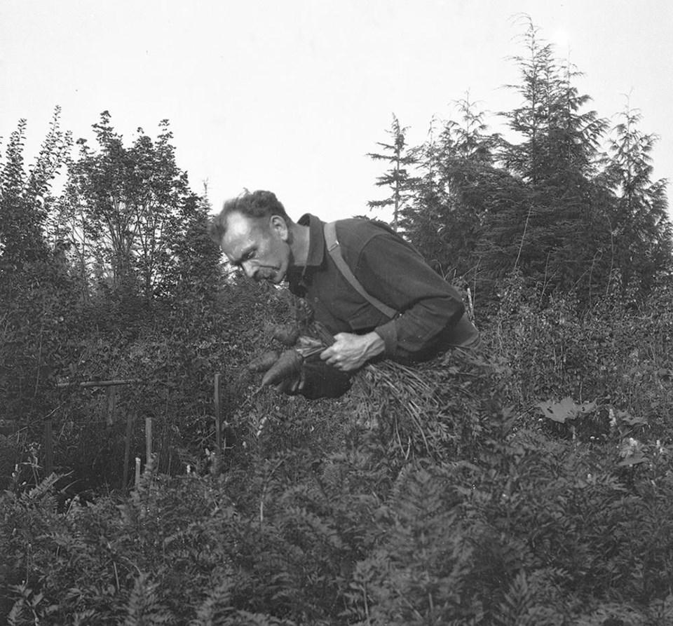Gardening_web
