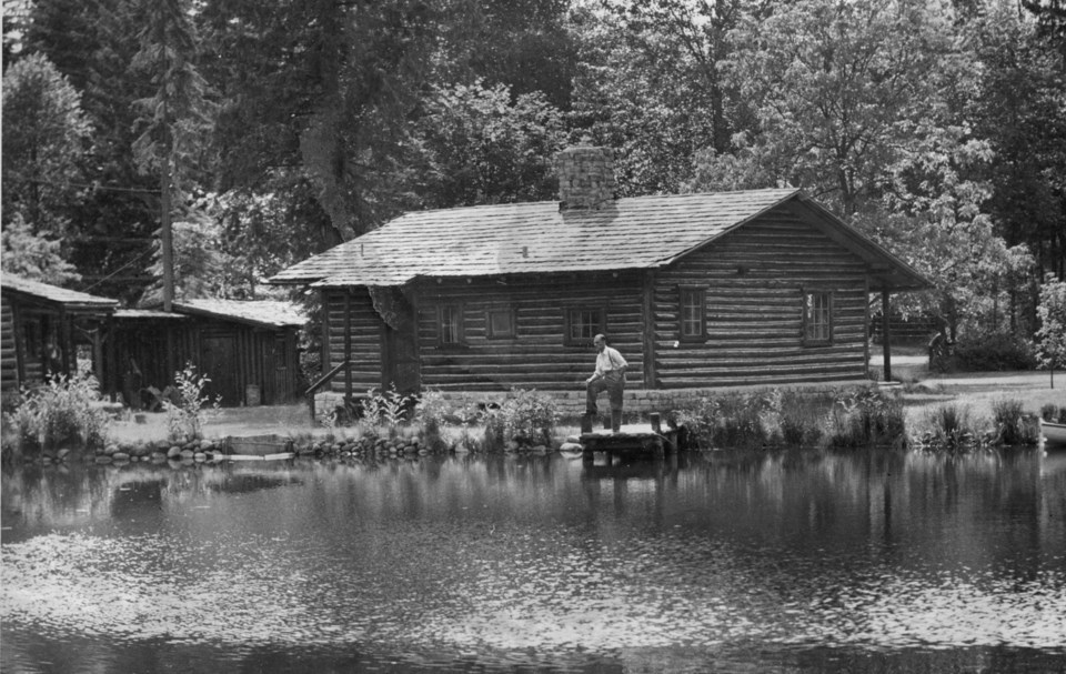 golden-cabin