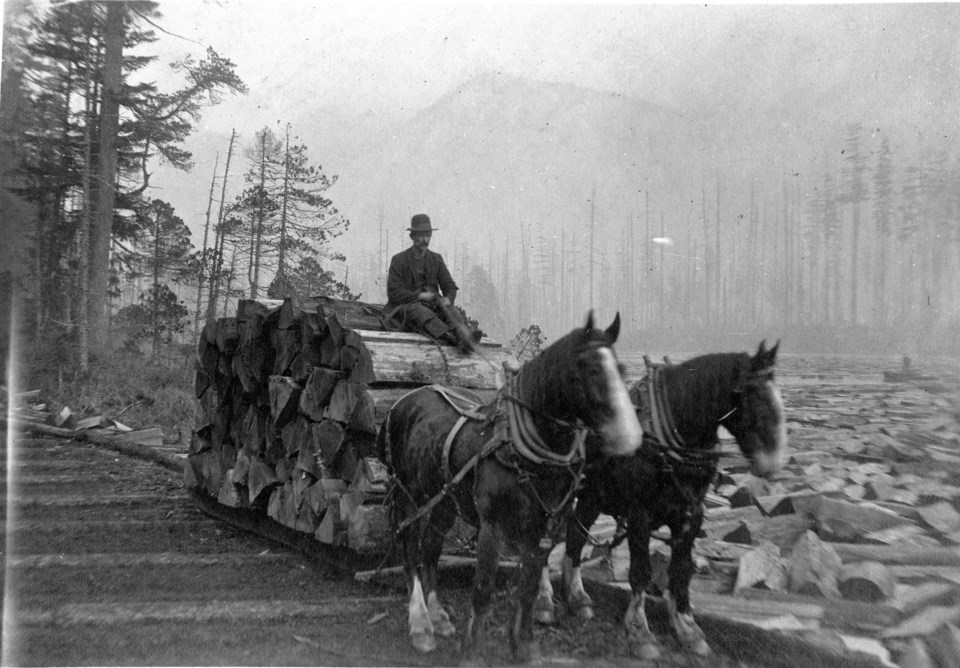 rice-lake-logging