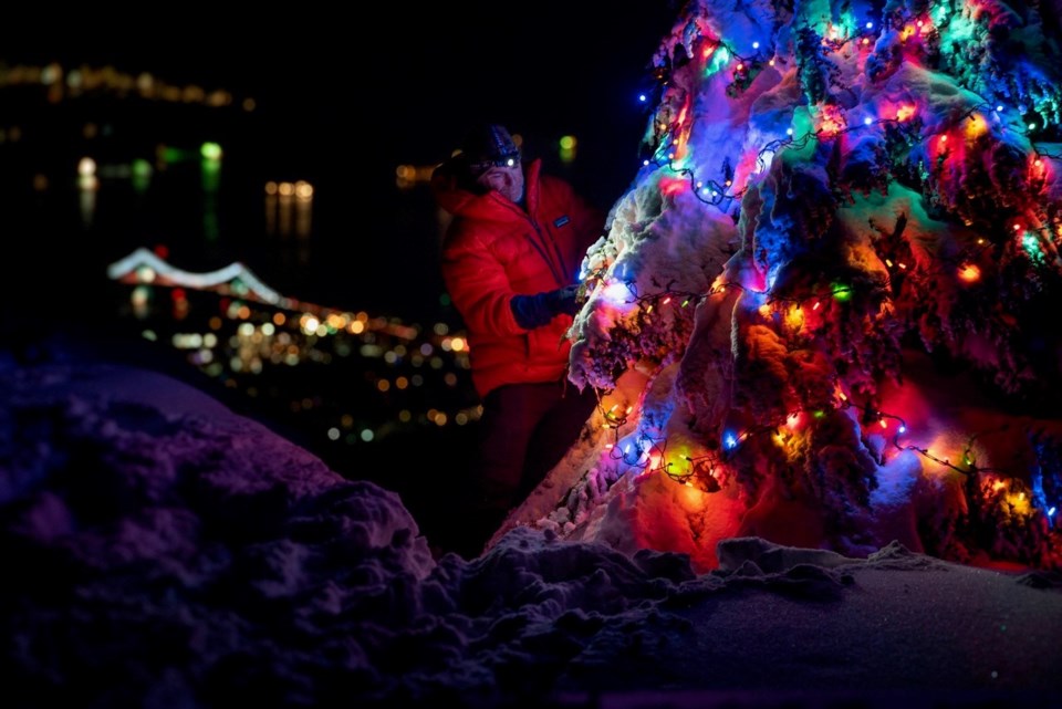 Christmas tree Mount Seymour 