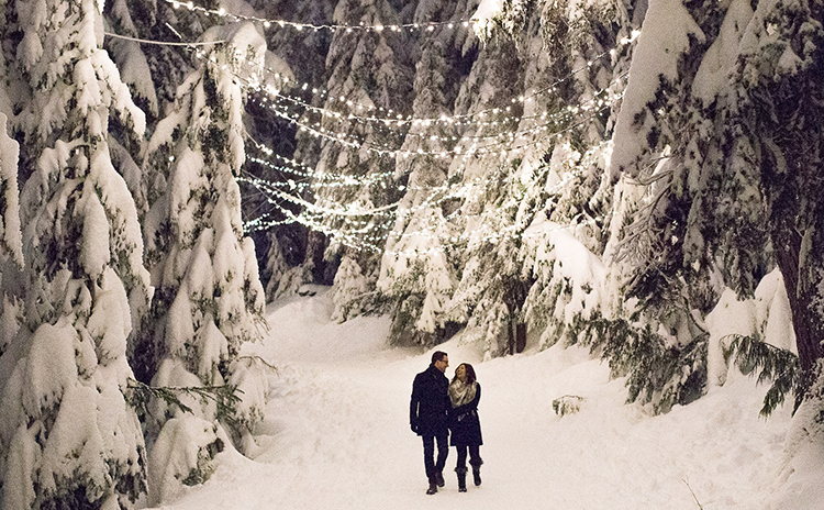 Book a mountain admission ticket and head up to Grouse Mountain to enjoy the sparkling snowy walk.  