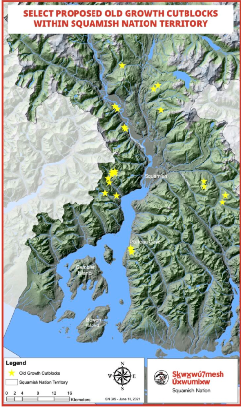 Squamish Nation old growth cut blocks