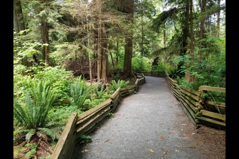 West Vancouver's Lighthouse Park have worked with the Rick Hansen Foundation to implement an accessible trail. 