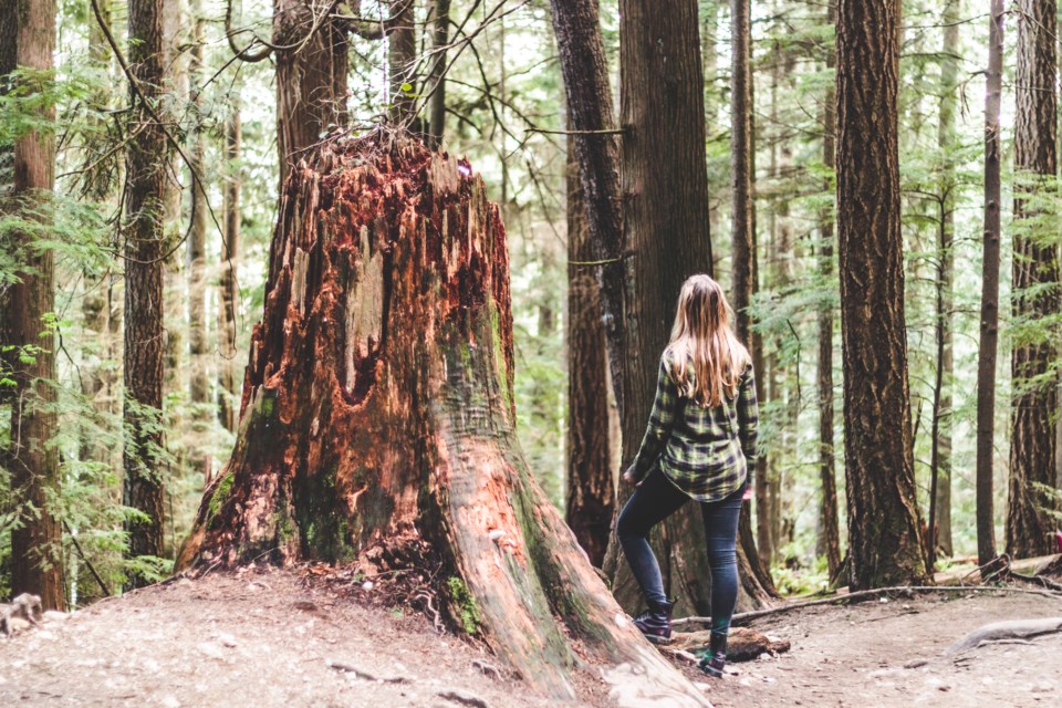 Baden Powell Trail