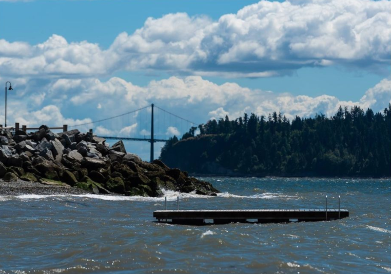 Dundarave Beach float raft