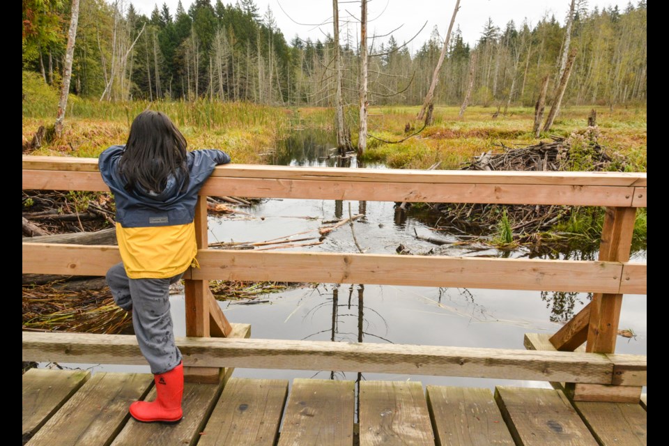 Hui's son Ollie during a hike of Terminal Creek Meadows on Bowen Island.