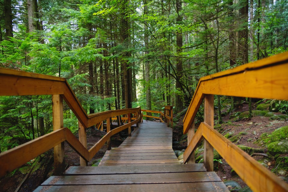 Lynn Canyon Boardwalk trail