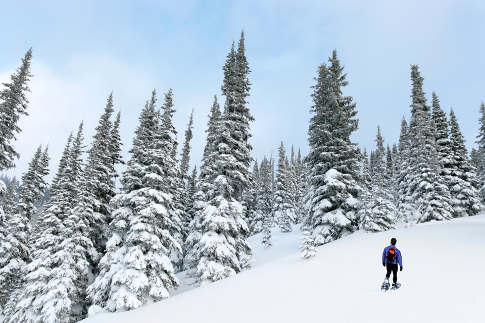 Man in the snow