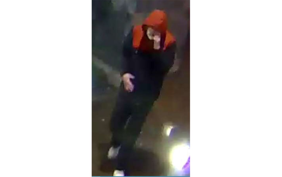 west van suspect web