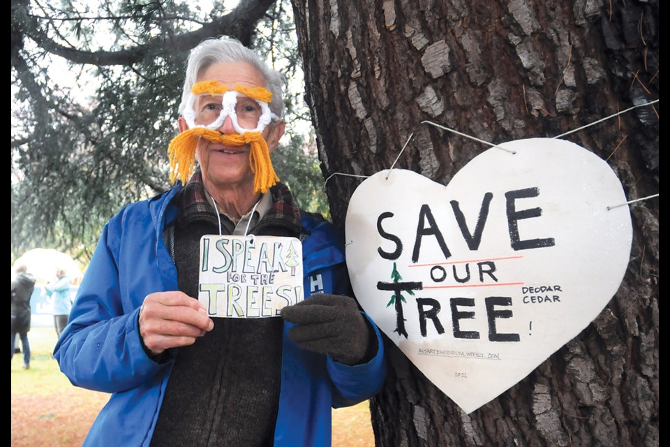 Alex Jamieson dresses as the Lorax to make his point on saving a huge cedar tree on the south side of Lions Gate Hospital, Oct 31. 2022. | Paul McGrath / North Shore News
