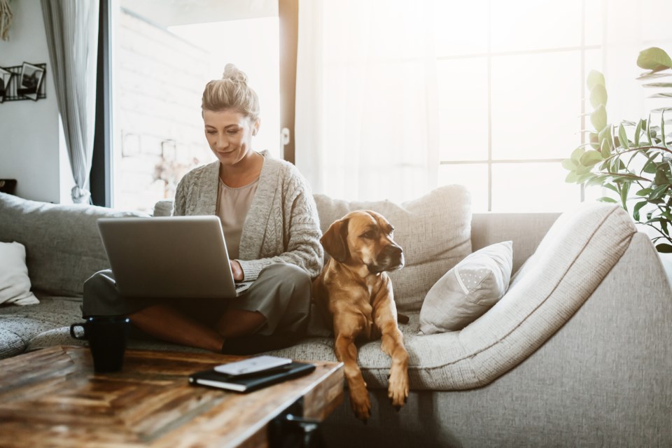 Babbl offers plans to suit your needs.