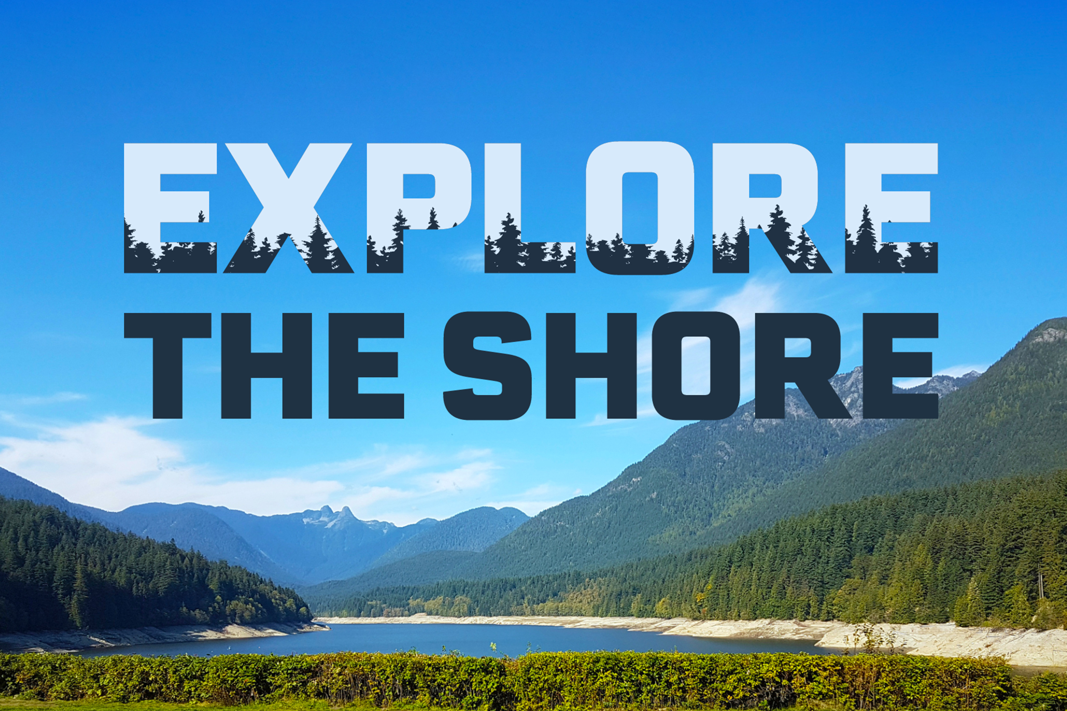 Explore The Shore