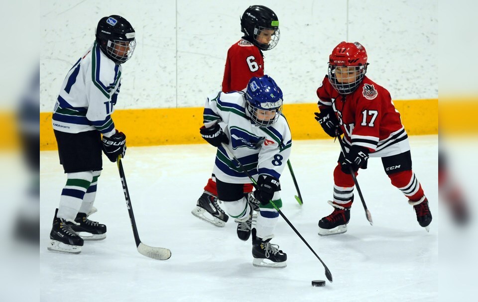 West Vancouver Minor Hockey arena