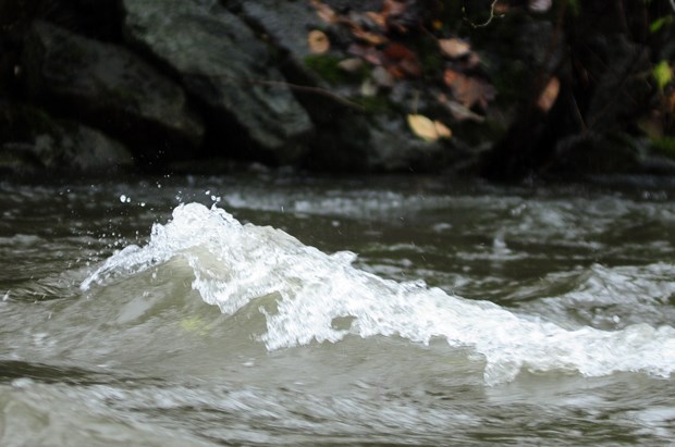 High water levels