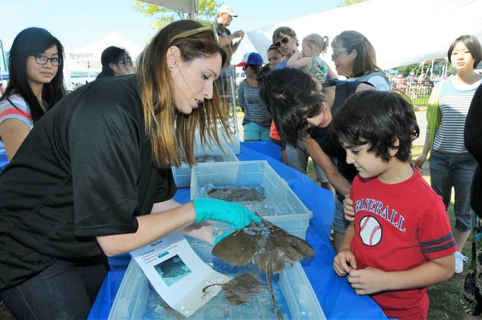 coho-festival-stewardship-zone