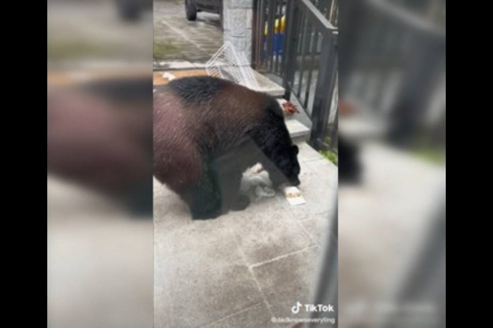 "Hey buddy, I'm just going to close this (door)," the North Vancouver man said to a black bear snacking outside his front door. The viral TikTok has been viewed over two million times. | @dadknowseverything / TikTok 