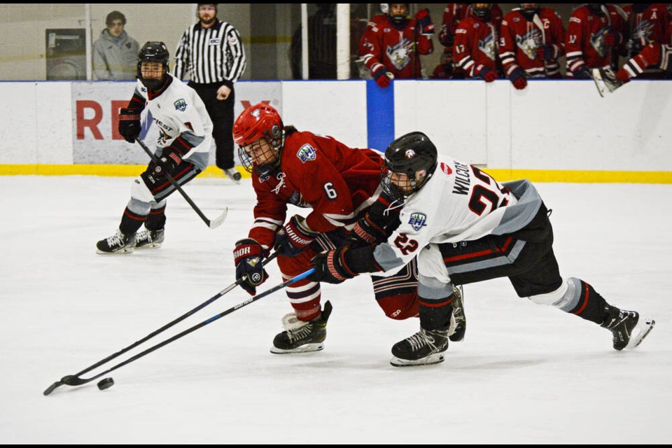 Hawks defenceman and team captain Zach Wilcox battles for the puck. | Nick Laba / North Shore News 