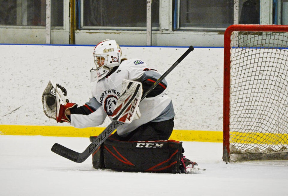 web1_north-west-hawks-hockey-glove