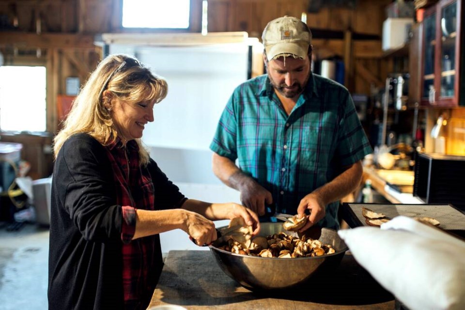 Writer and permaculture garden designer Laura Marie Neubert and Steve Gabriel at Wellspring Forest Farm, New York, prepare log-grown shiitake for drying. | Laura Marie Neubert 