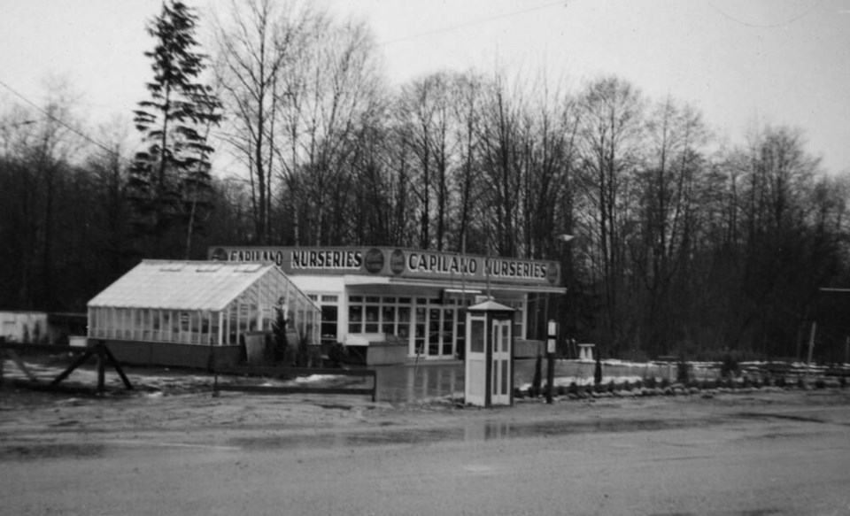 web1_cailano-nurseries