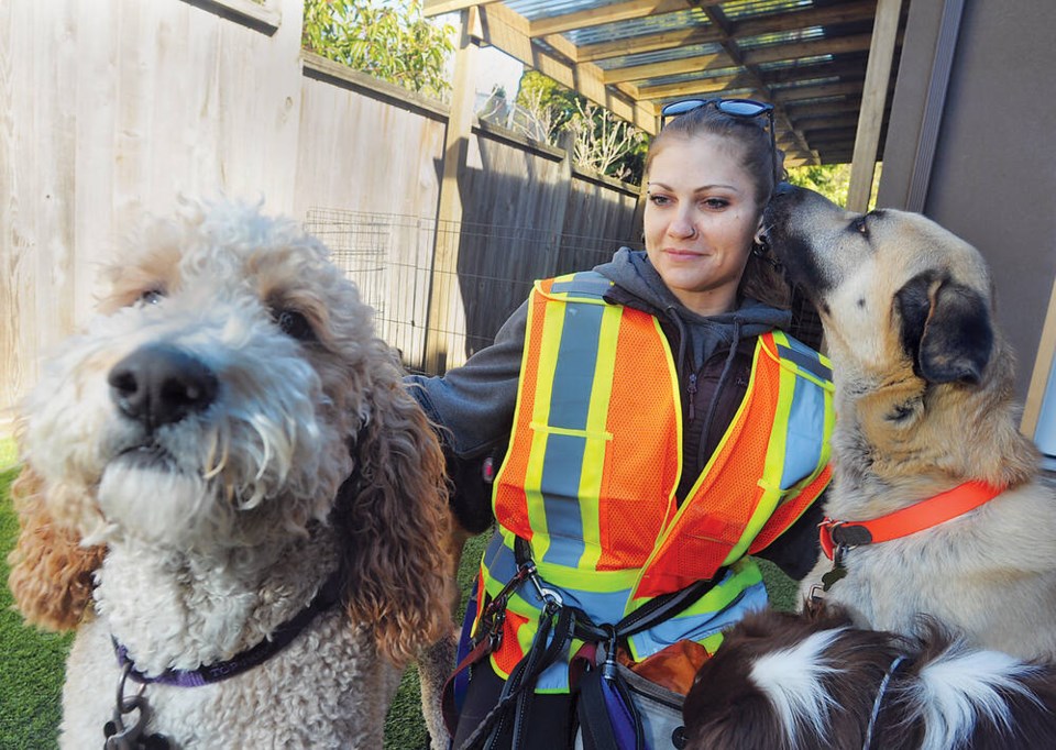 web1_dog-walker-pepper-sprayed-2