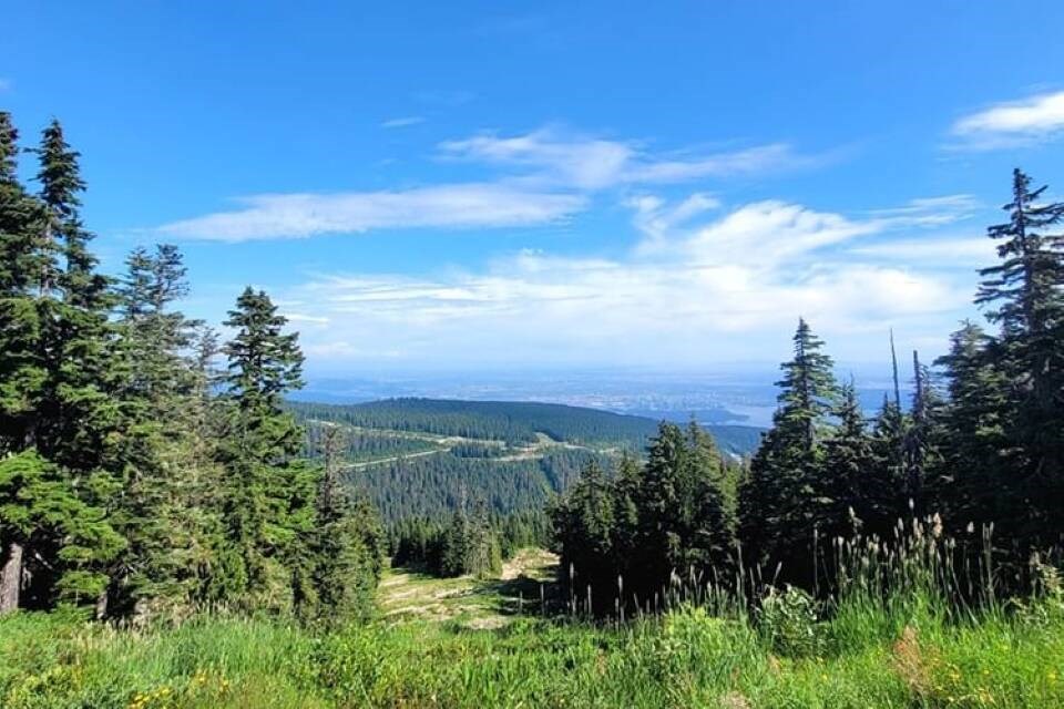 Expansive views can be seen from the top of Black Mountain at Cypress Mountain Resort. | Cypress Mountain Resort / Instagram 