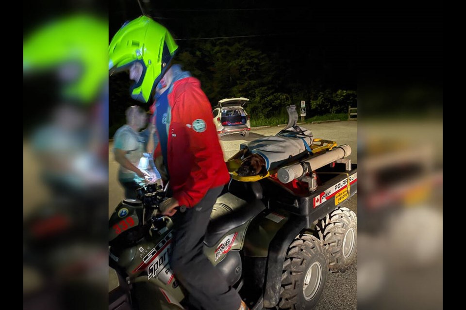A North Shore Rescue volunteer transports an exhausted boxer back to the parking lot via ATV, after the dog became unable to continue on Lynn Headwaters Trail. | North Shore Rescue 