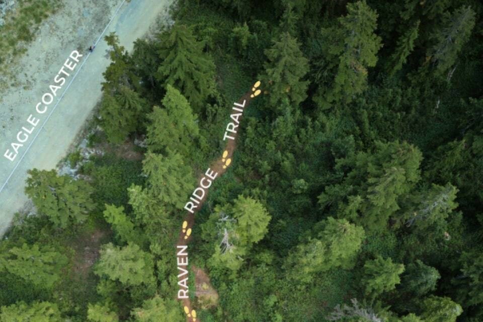 The one-kilometre loop of the Raven Ridge Trail runs nearby the Eagle Coaster, a 1.7-km thrill ride down Black Mountain. | Cypress Mountain Resort 