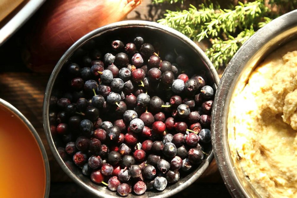 Native evergreen huckleberries, bursting with wild food phytonutrients. | Laura Marie Neubert