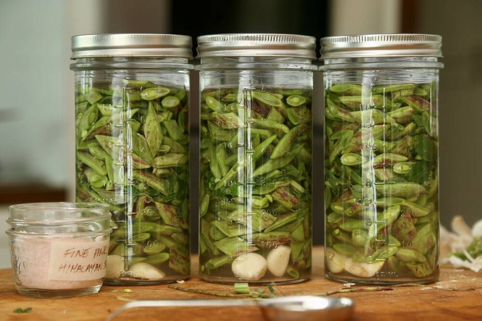 Bias-cut Greek beans, garlic and oregano lacto-fermenting under glass. | Laura Marie Neubert 