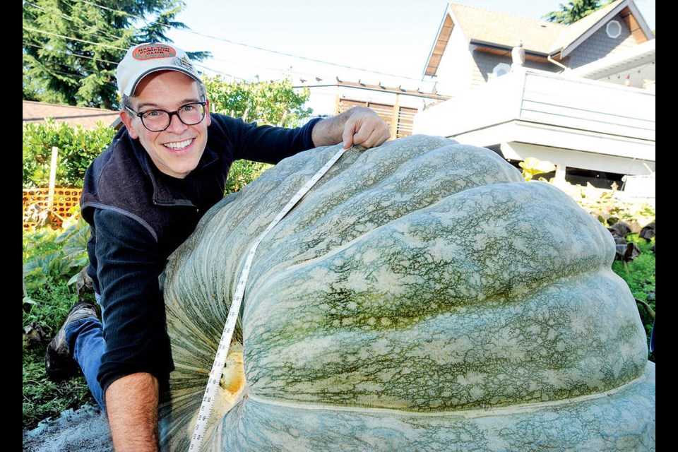 North Vancouver gardener Jeff Pelletier measures his massive squash, part of his giant vegetable crop to be entered in an international competition, Oct. 6, 2023. | Paul McGrath / North Shore News 