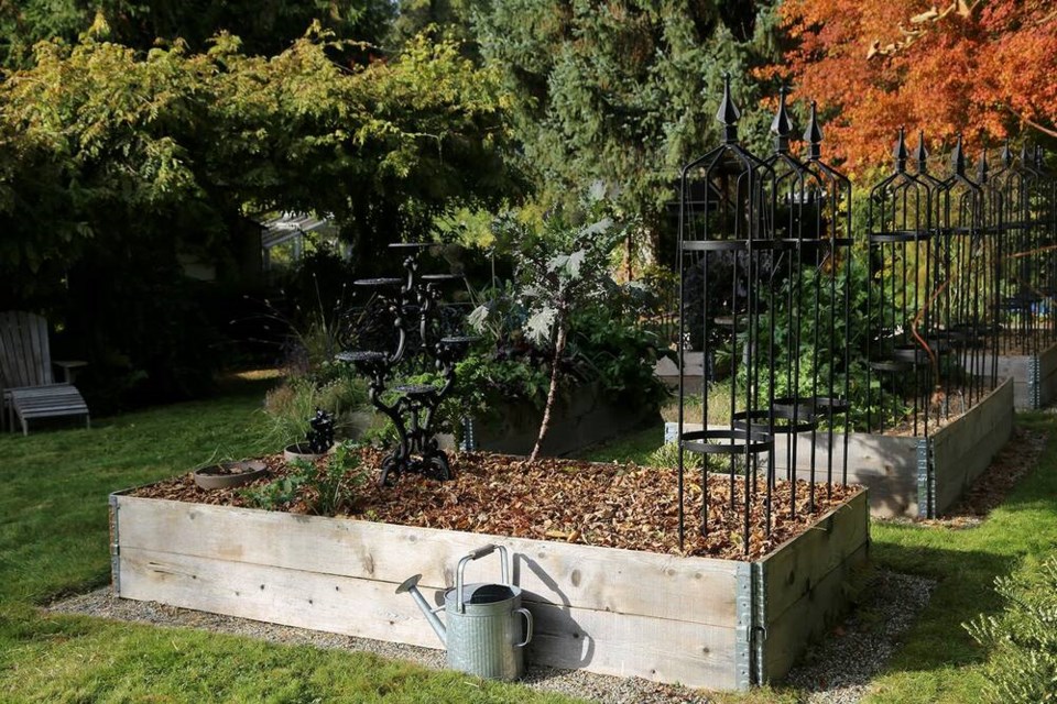 Sometimes the best thing for a garden during the winter is to take a rest, writes columnist Laura Marie Neubert. This winter bed is fortified with vermicastings and top-dressed with layers of green and brown mulch. | Laura Marie Neubert 