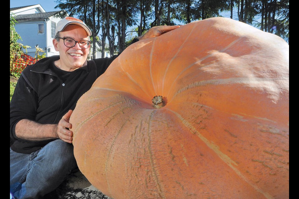 North Vancouver gardener Jeff Pelletier shows off a different giant pumpkin (Arnold isn't shown in this photo) he grew this year. | Paul McGrath / North Shore News files 