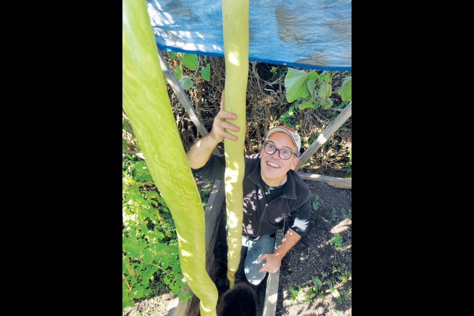 North Vancouver gardener Jeff Pelletier with his prize-winning long gourd. | Paul McGrath / North Shore News files 