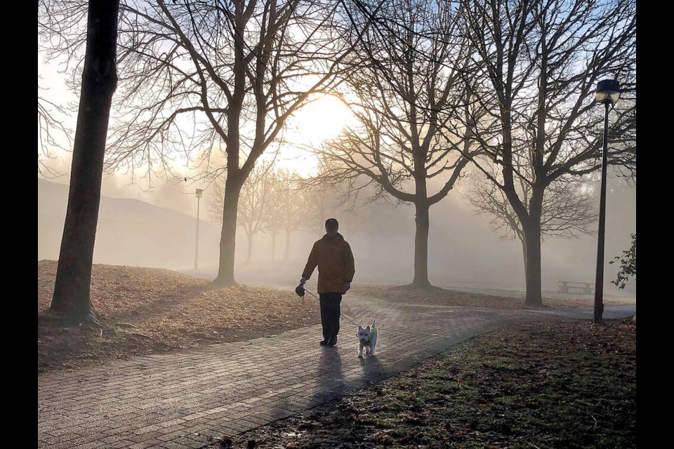 A dog and its owner walk through North Vancouver’s Indian River Park on a misty morning in January. | Paul McGrath 