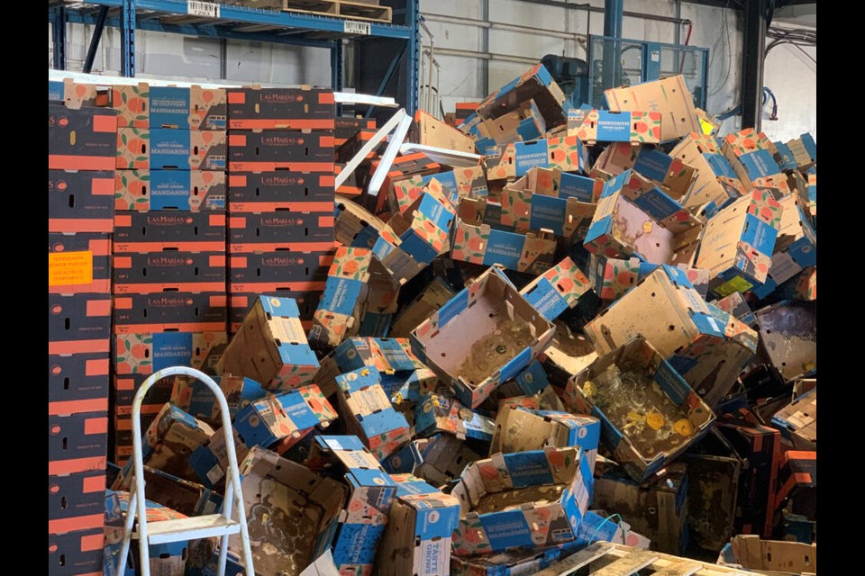 Piled high are boxes for mandarin oranges that would have been dumped if not for a food recovery service like ReFeed Farms. | Stuart Lilley 