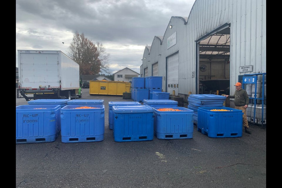 Tubs of sorted oranges wait outside the ReFeed Farms facility in Langley, B.C. | Stuart Lilley