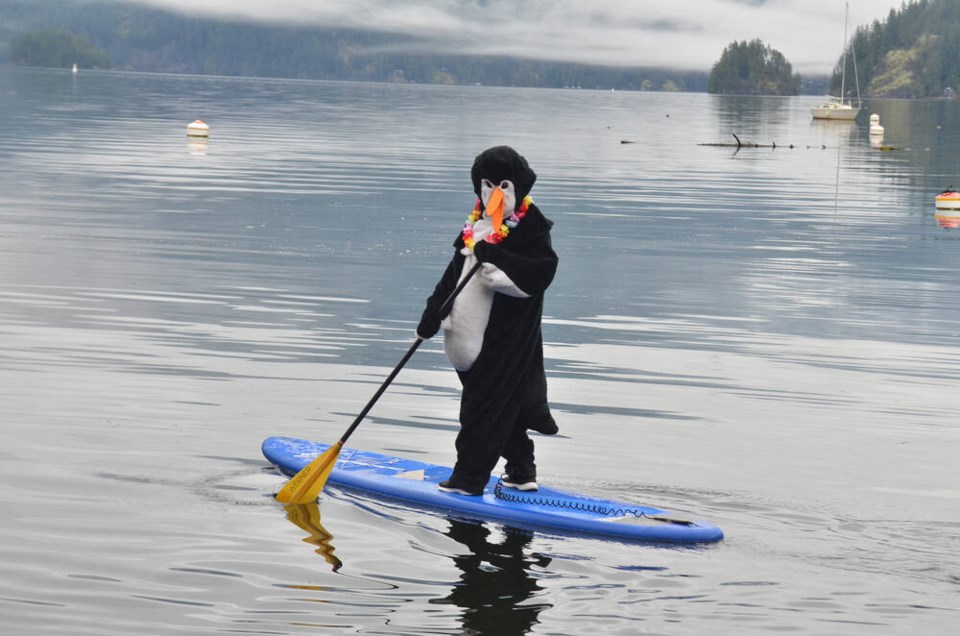 web1_penguin-plunge