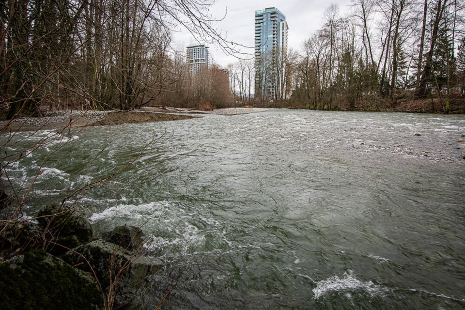 Water levels creep up the banks at Lynn Creek in North Vancouver on Jan. 30. | Nick Laba / North Shore News 