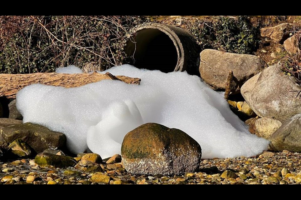 A white cloud of suds sits atop stones and barnacles in Deep Cove on Monday, March 18. | Trudel Kroecher 