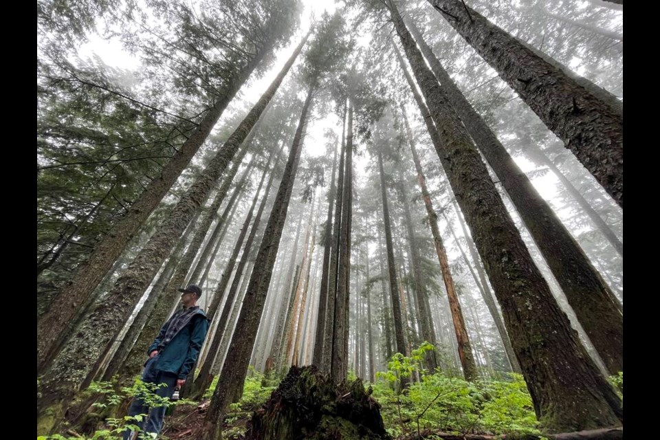 Alan Bardsley, president of the Old Growth Conservancy Society, stands near an area of second-growth forest which is among 1,932 acres protected by a new park dedication Monday. | Jane Seyd /North Shore News 