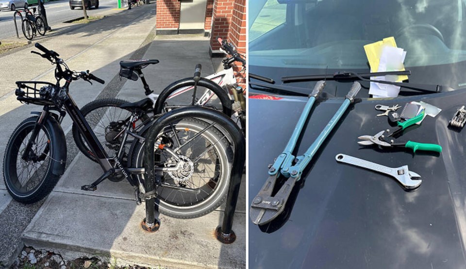 web1_bike-theft