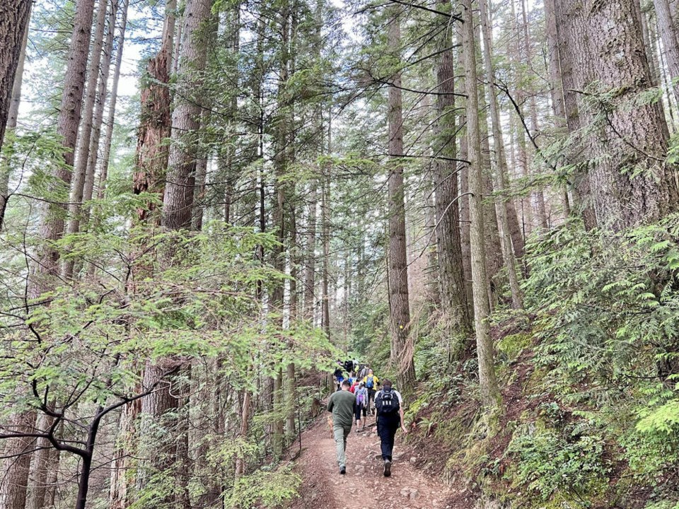 web1_hike