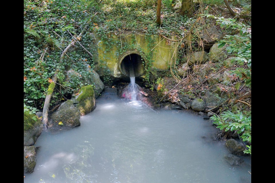 Discharge from an outfall pipe turns parts of Wagg Creek a milky white colour for several hours on Friday. | Paul McGrath / North Shore News 