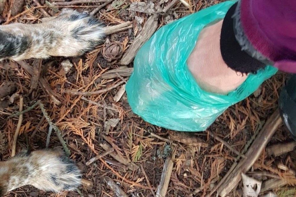 web1_dog-poop-bag
