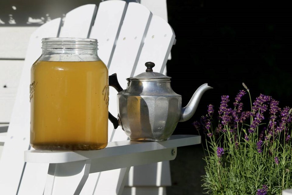 An old tin teapot works perfectly to precisely direct diluted compost tea to the base of plants. | Laura Marie Neubert 