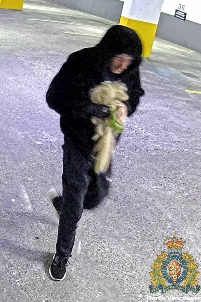 web1_north-vancouver-explosion-suspect-no-2